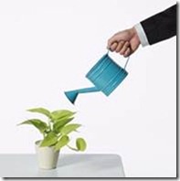 Lead management nuturing